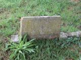 image of grave number 581054